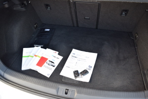 2015 Volkswagen eGolf 