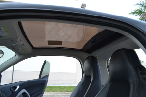 2008 Smart Passion 